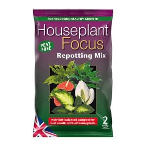 Houseplant focus potting mix