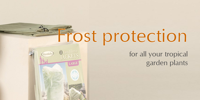 Frost protection for all your tropical garden plants