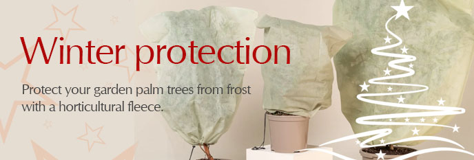 Fleece jackets - frost protection for your garden palm trees