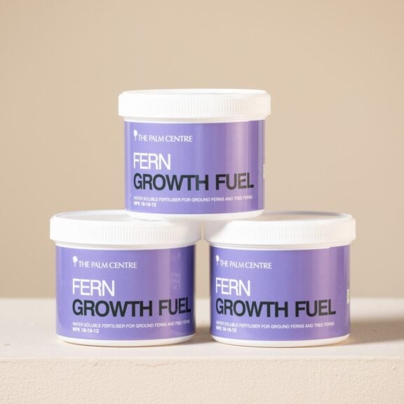 Fern Growth Fuel